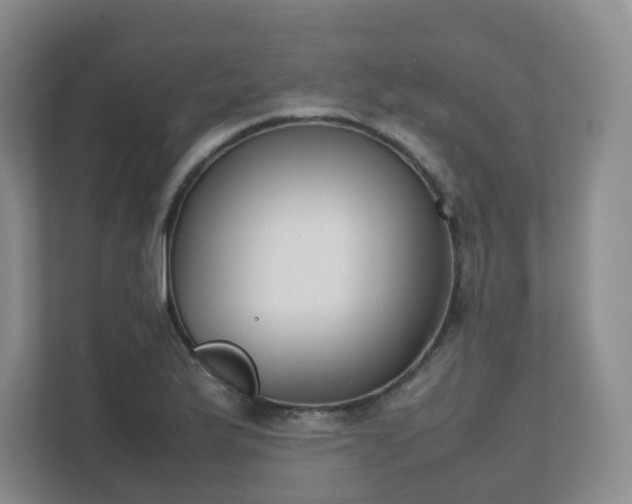 X0000111631175200907241044