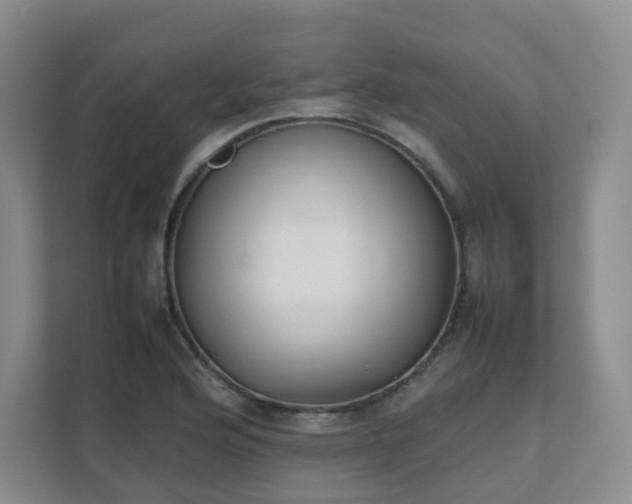 X0000111631176200907241044