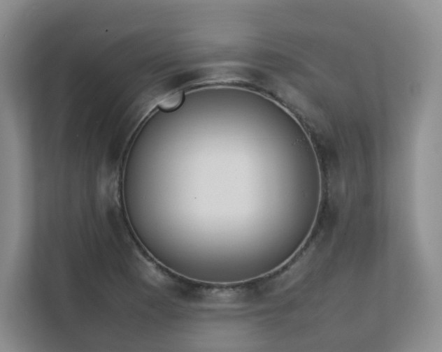 X0000111631177200907241044