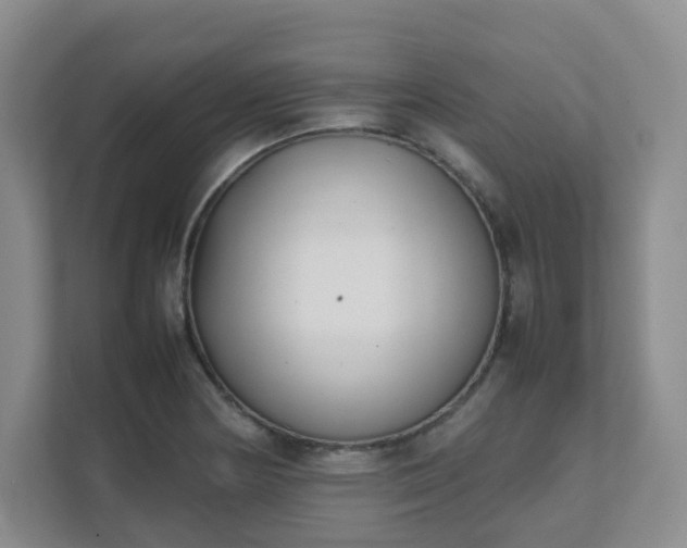 X0000111631178200907241044