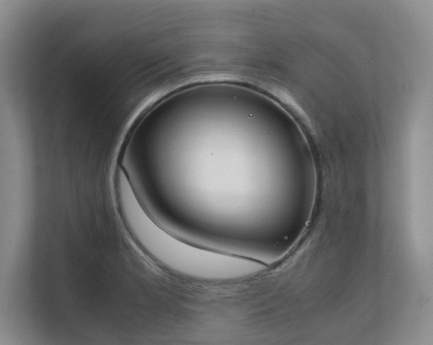 X0000111631181200907241044