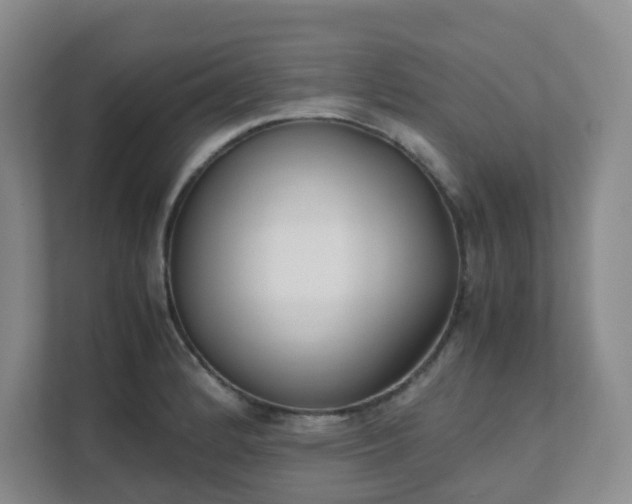 X0000111631184200907241044