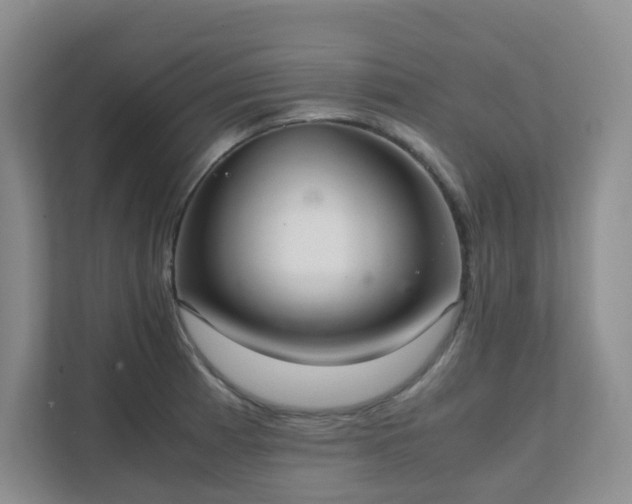 X0000111631185200907241044