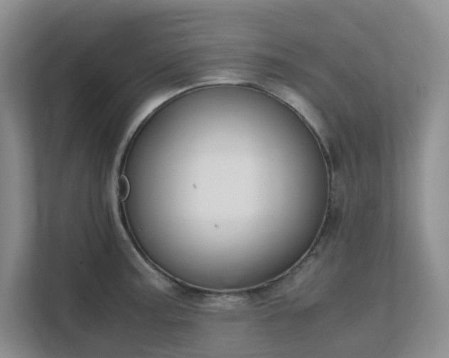 X0000111631187200907241044