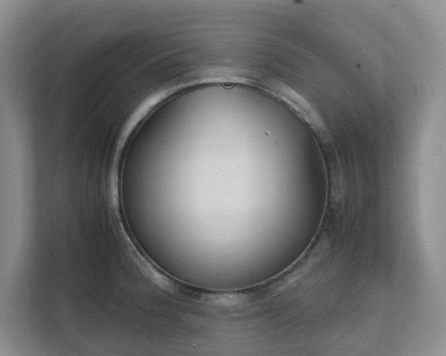 X0000111631188200907241044