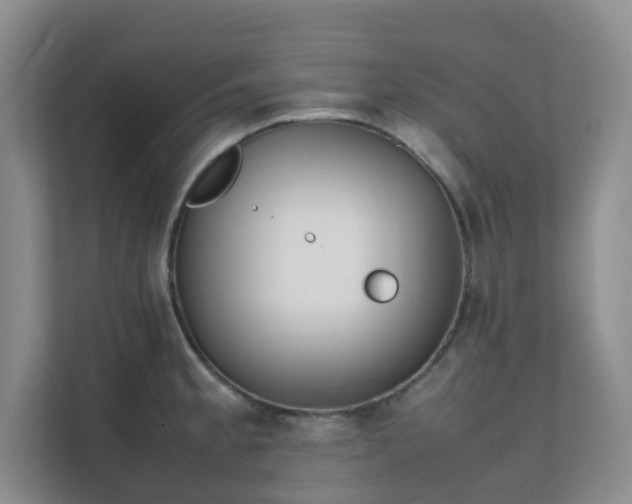 X0000111631189200907241044