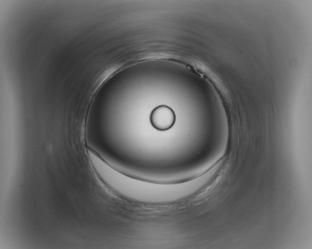 X0000111631193200907241044