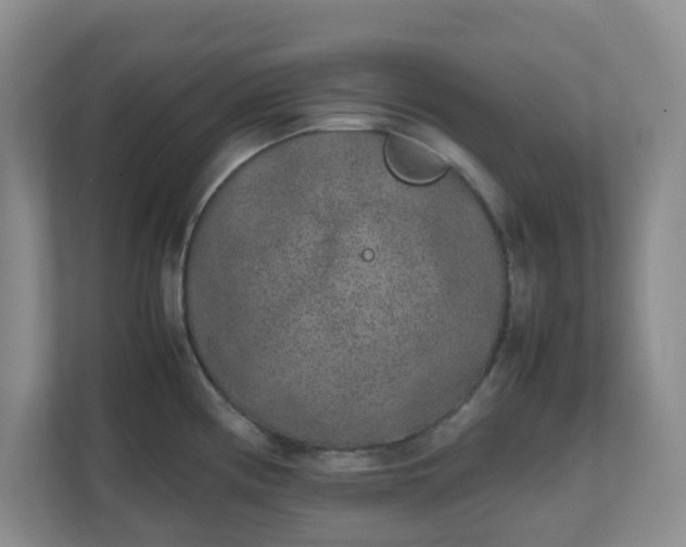 X0000111631194200907241044