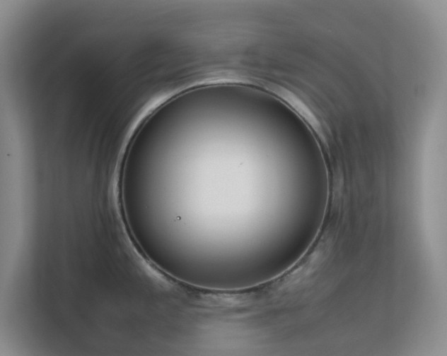 X0000111631197200907241044