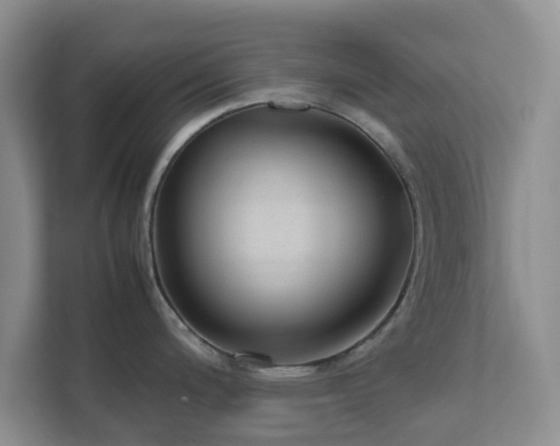 X0000111631200200907241044