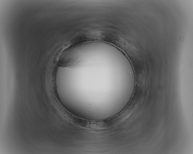 X0000111631201200907241043