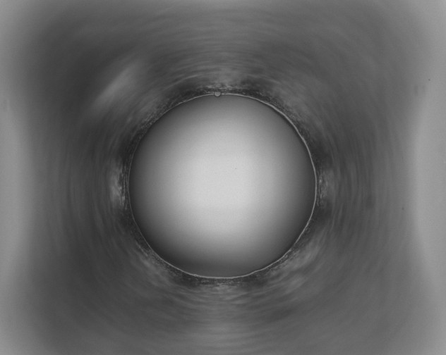 X0000111631202200907241043