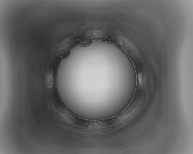 X0000111631203200907241043