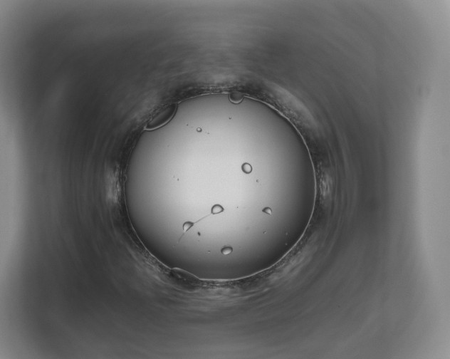 X0000111631204200907241043