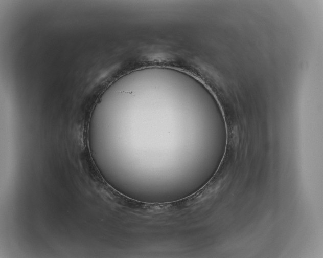 X0000111631205200907241043