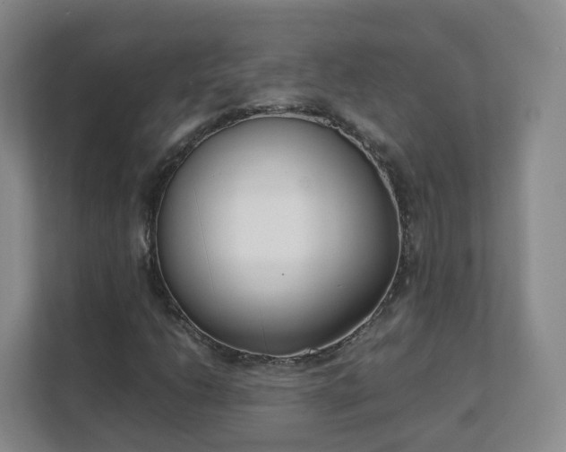 X0000111631206200907241043