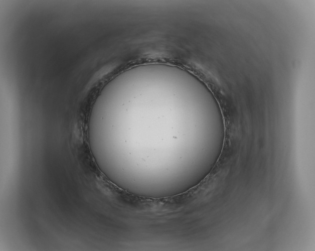 X0000111631207200907241043