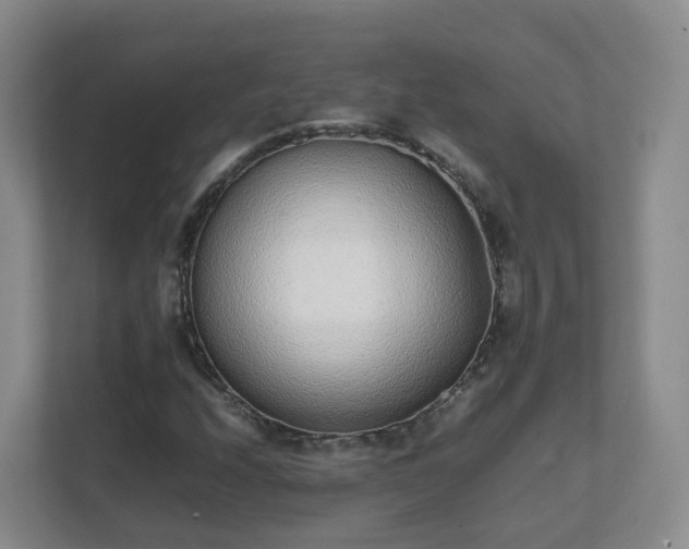 X0000111631208200907241043