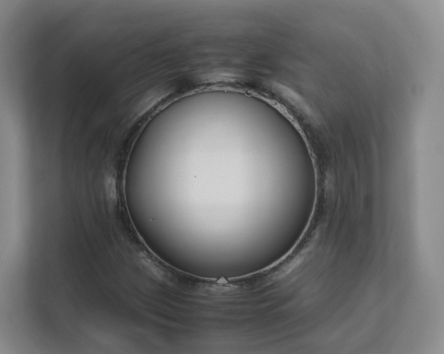 X0000111631209200907241043