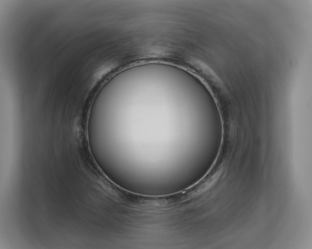 X0000111631210200907241043