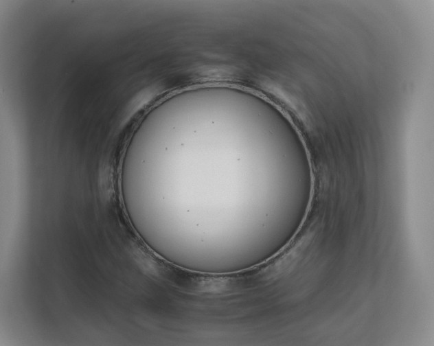 X0000111631211200907241043