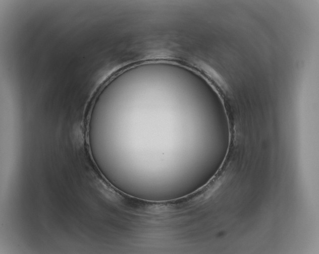 X0000111631212200907241043