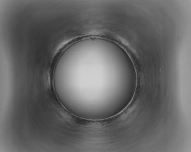 X0000111631214200907241043