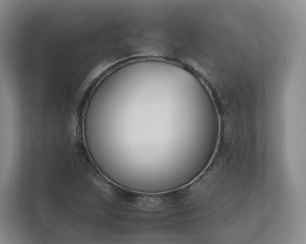 X0000111631215200907241043