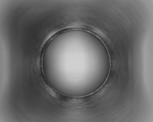 X0000111631216200907241043