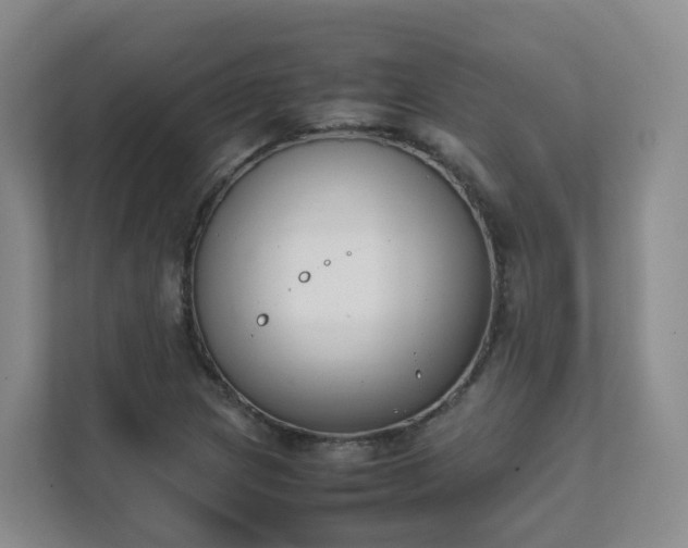 X0000111631217200907241043