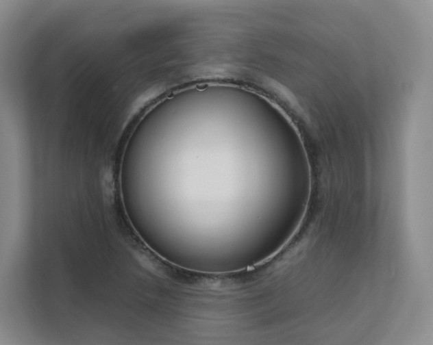 X0000111631218200907241043