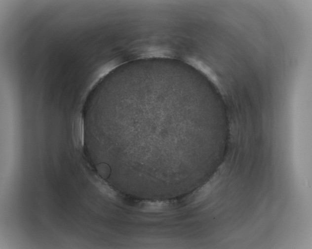 X0000111631219200907241043