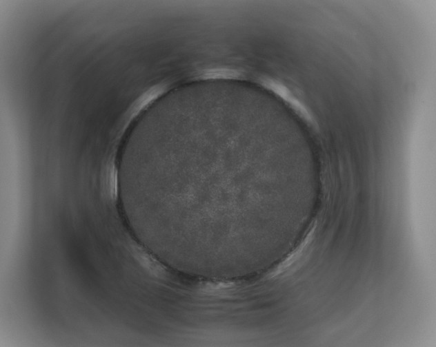 X0000111631221200907241043