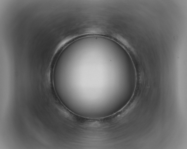 X0000111631222200907241043