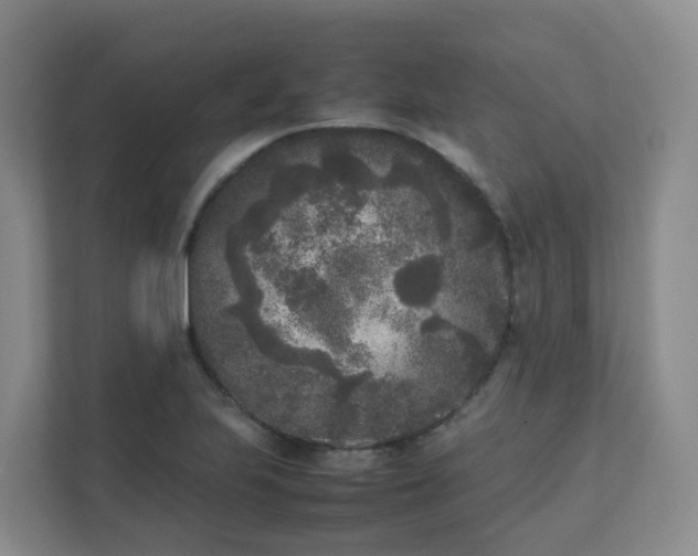 X0000111631223200907241044