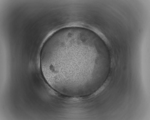 X0000111631224200907241044