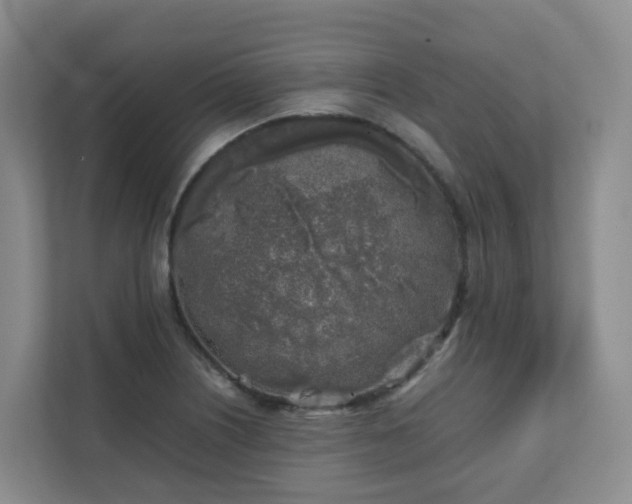 X0000111631226200907241044