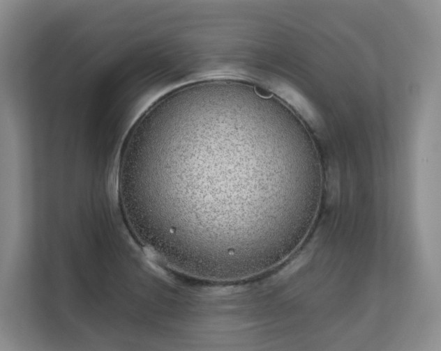 X0000111631228200907241044