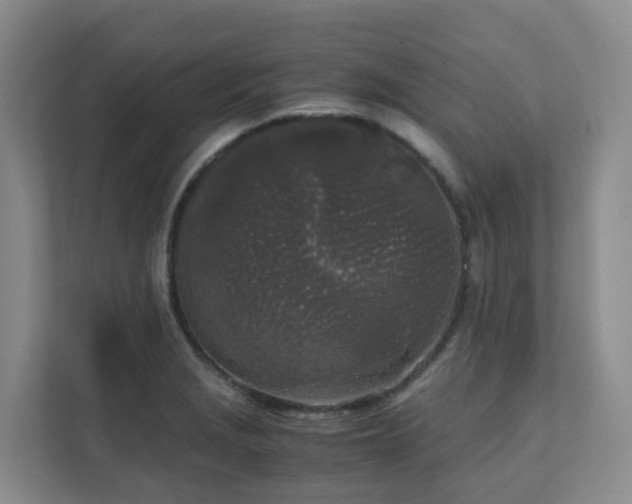 X0000111631229200907241044