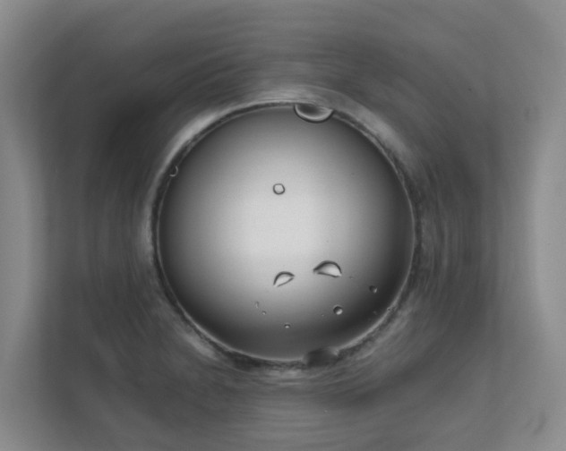 X0000111631230200907241044