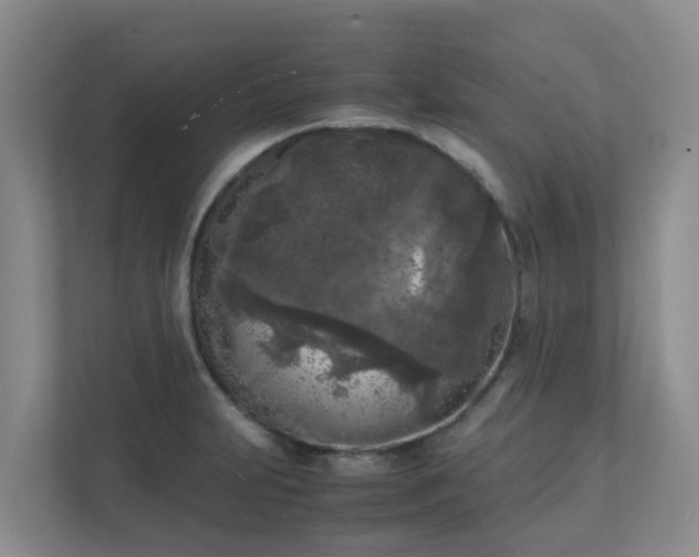 X0000111631231200907241044