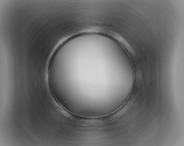 X0000111631232200907241044