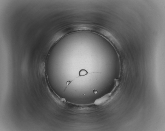 X0000111631233200907241044