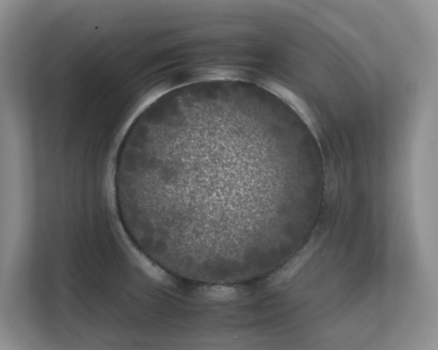 X0000111631235200907241044