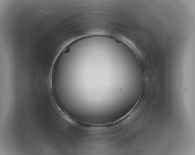 X0000111631236200907241044