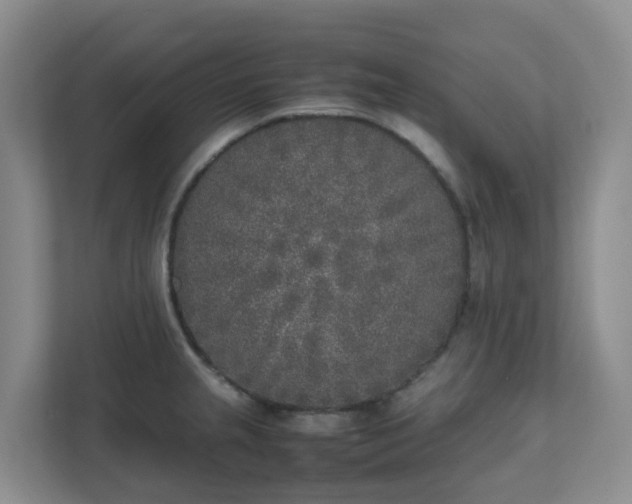 X0000111631237200907241044