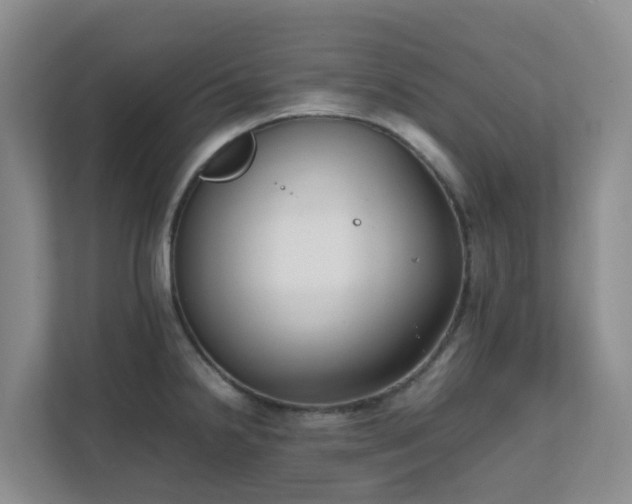 X0000111631238200907241044