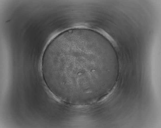 X0000111631240200907241044