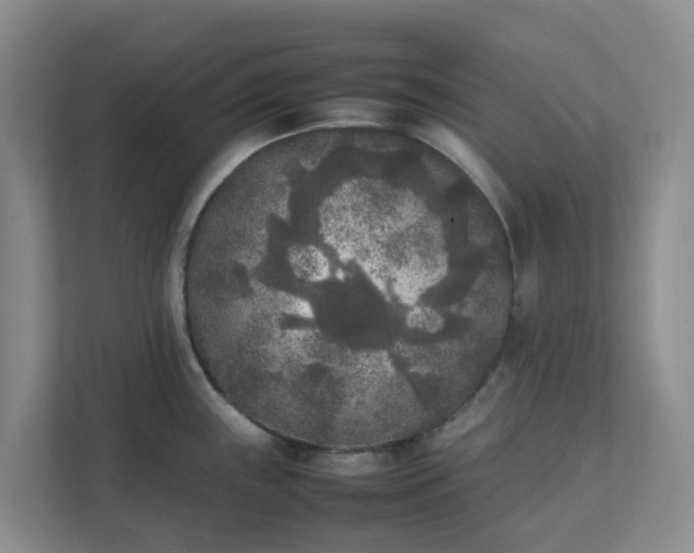 X0000111631243200907241044