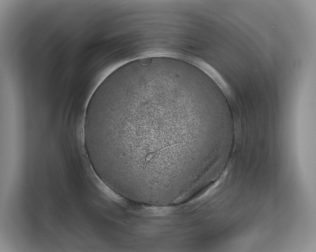 X0000111631244200907241044